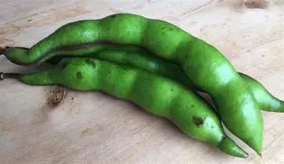 El Chachafruto o Balú: Superalimento Andino Rico en Proteínas